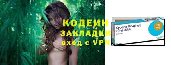 гидра Корсаков