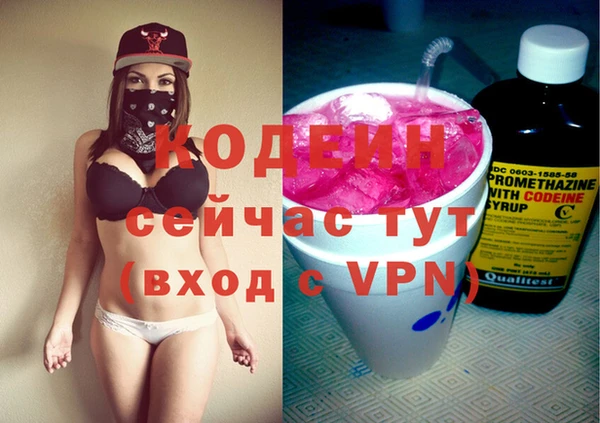 гидра Корсаков