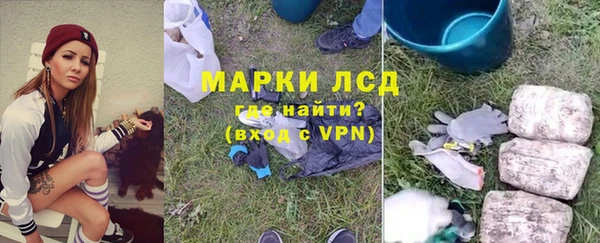 гидра Корсаков