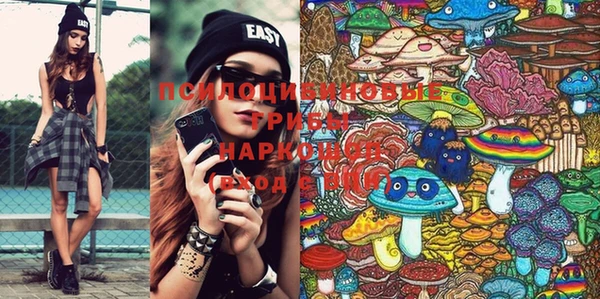 марки lsd Козельск