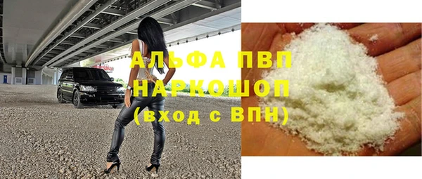 гидра Корсаков