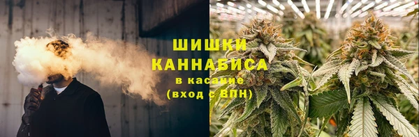 мдпв Костерёво
