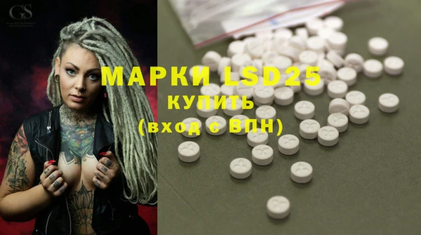 гидра Корсаков